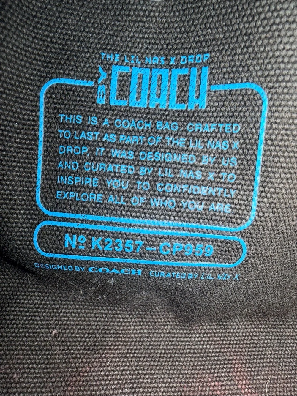 COACH LIL NAS X DROP canvas kitty tote 💙 - Picture 5 of 8